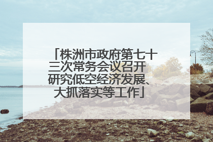 株洲市政府第七十三次常务会议召开 研究低空经济发展、大抓落实等工作